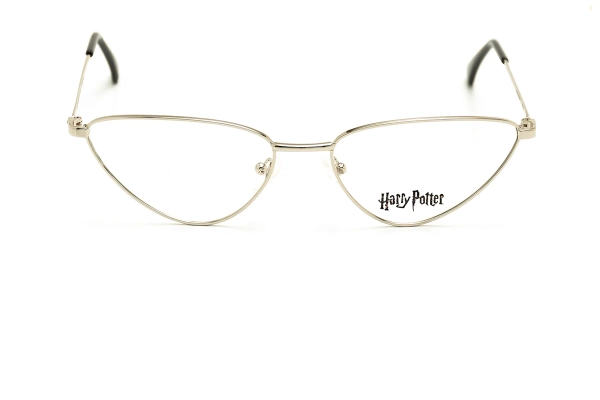 Harry Potter DUMBLEDORE 000